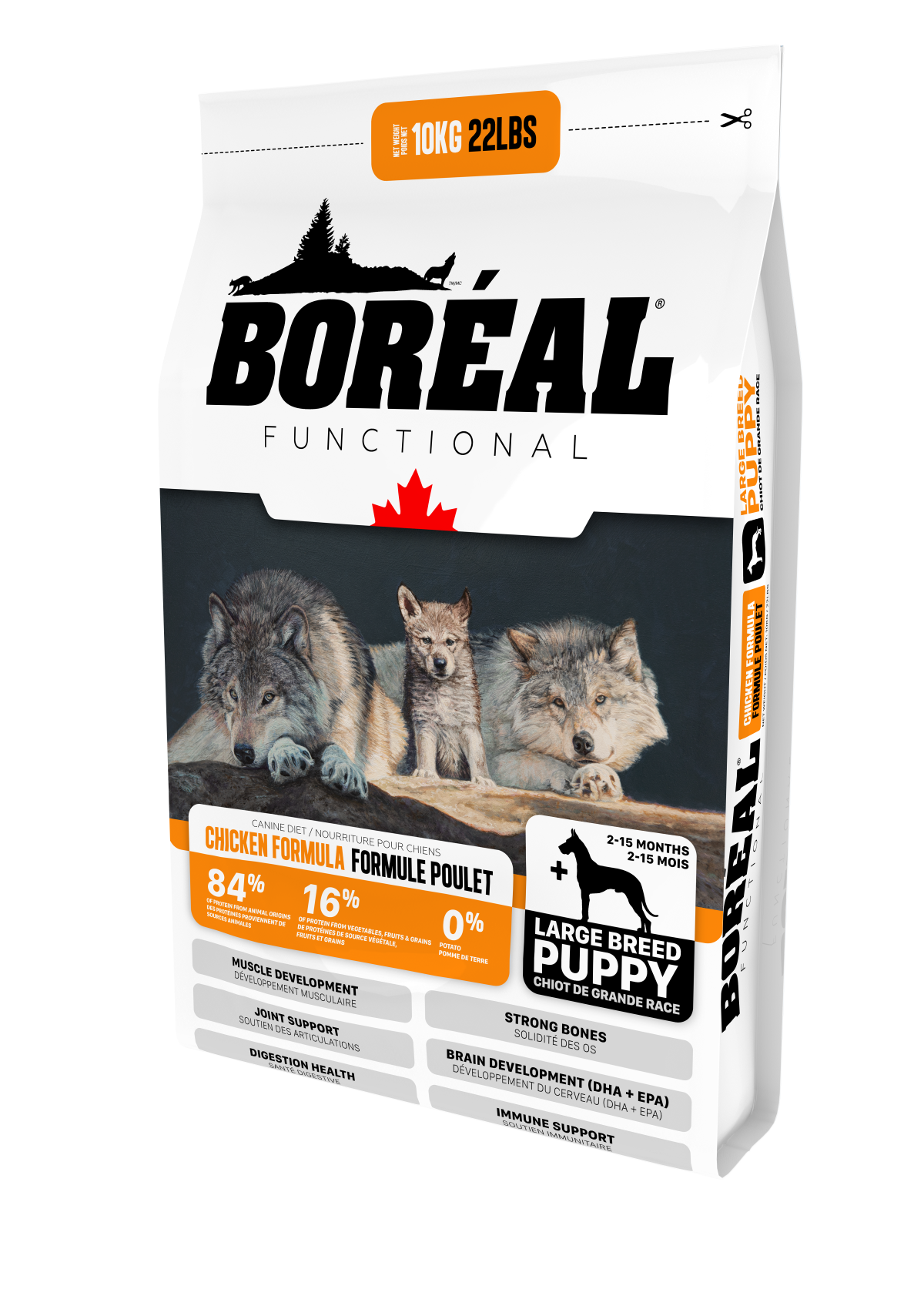 Boreal salmon top dog food