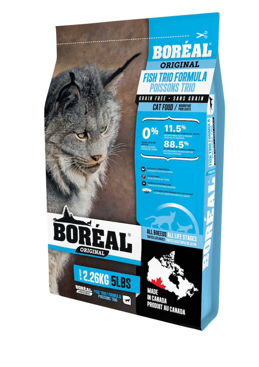 Boreal Fish Trio Cat