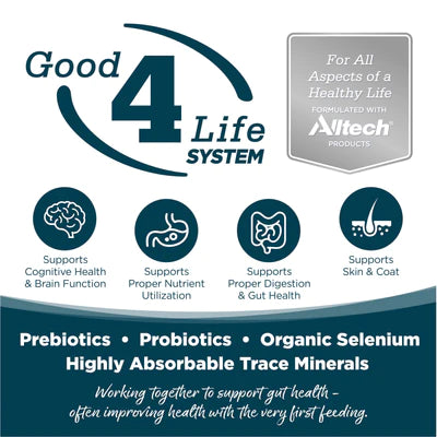 NUTRISOURCE SMALL BITES CHICKEN & RICE - DOG FOOD