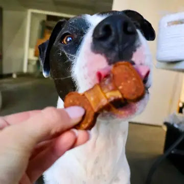 Gaines Chicken Wrapped Sweet Potato Bones 8 oz
