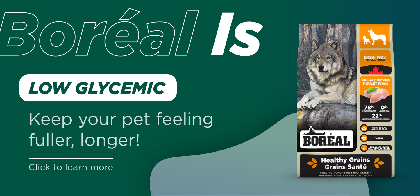 BOREAL ORIGINAL SMALL & TOY BREED DUCK FORMULA - DOG FOOD