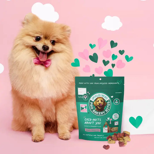 Bakery Bites Coco-Nuts About You - Soft & Chewy 6 oz