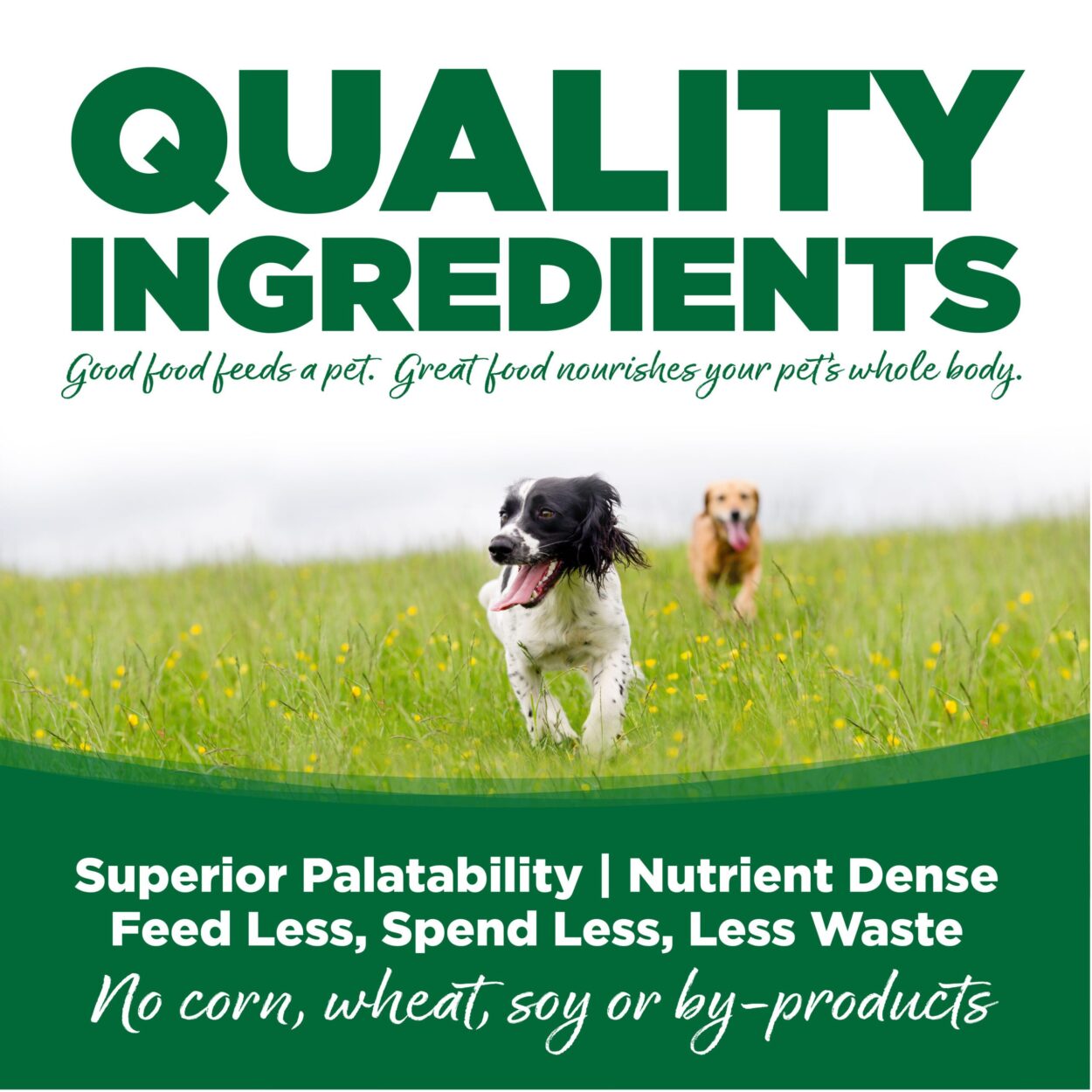 NUTRISOURCE TURKEY & RICE - DOG FOOD