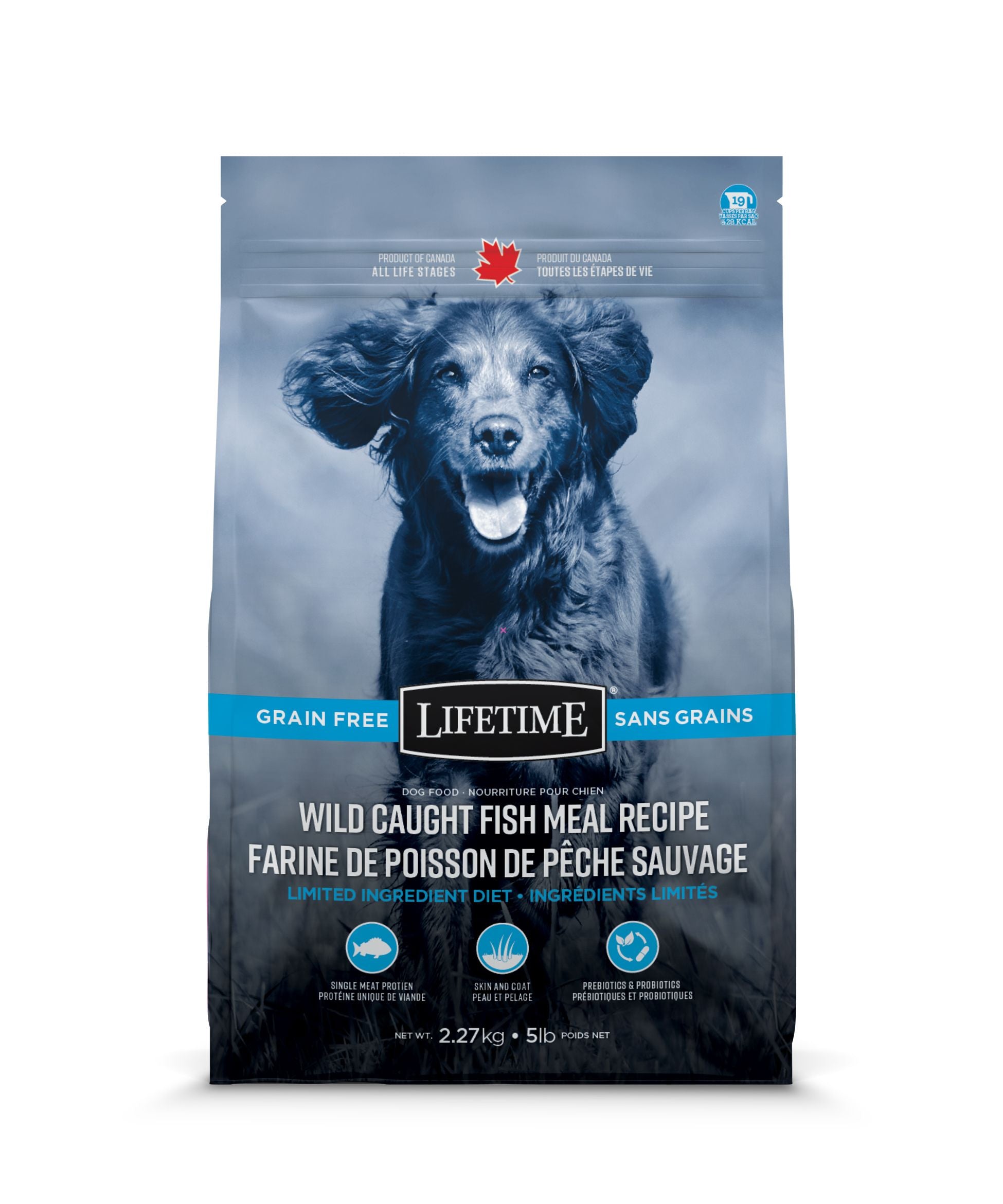 Blue fish dog clearance food